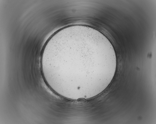 X0000111941092200908241134