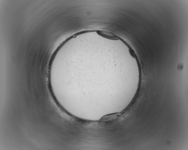 X0000111941093200908241134