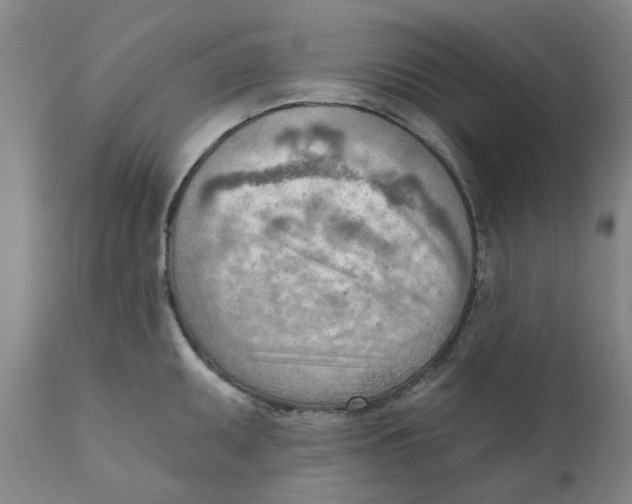 X0000111941095200908241134