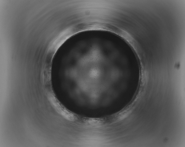 X0000111941097200908241134