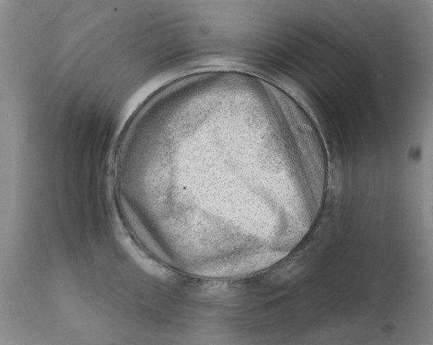 X0000111941098200908241134