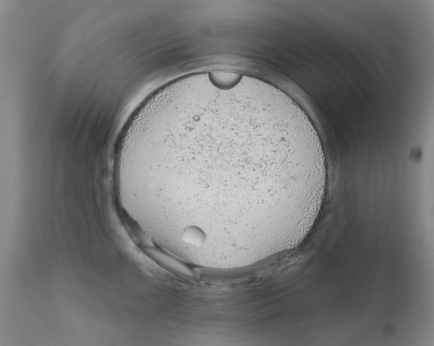 X0000111941099200908241134