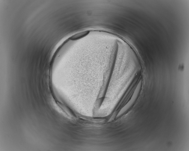 X0000111941100200908241134