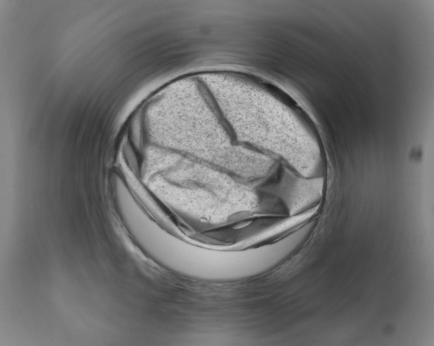 X0000111941101200908241134