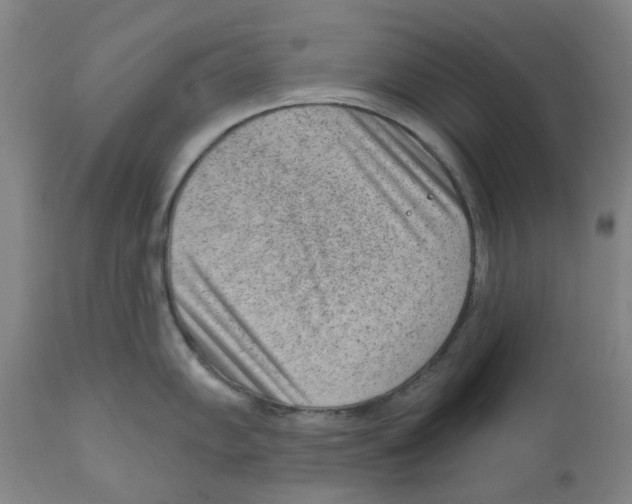 X0000111941102200908241134