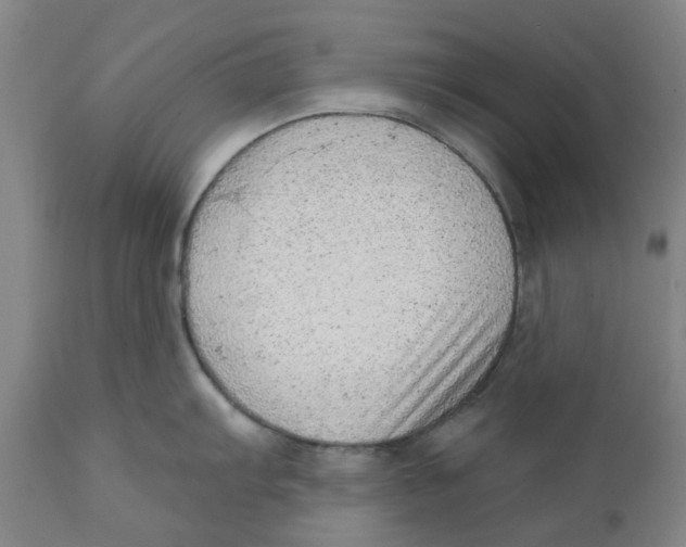 X0000111941103200908241134