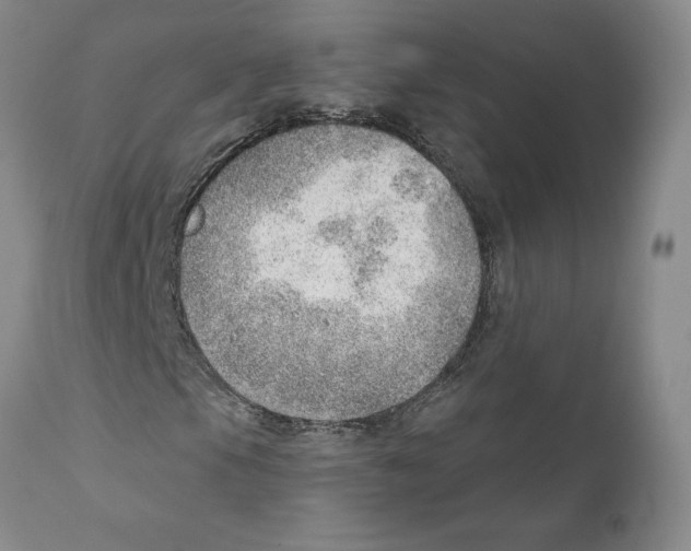 X0000111941105200908241133