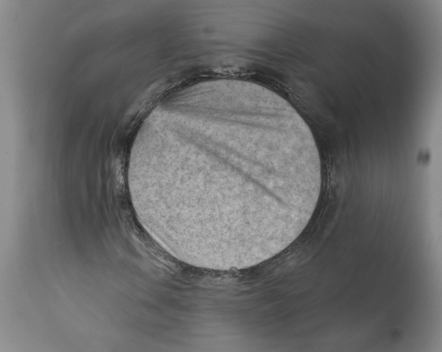 X0000111941106200908241133