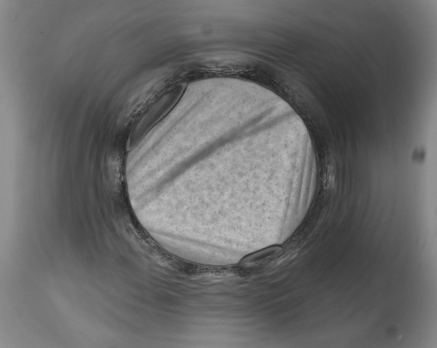 X0000111941108200908241133