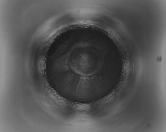 X0000111941110200908241133