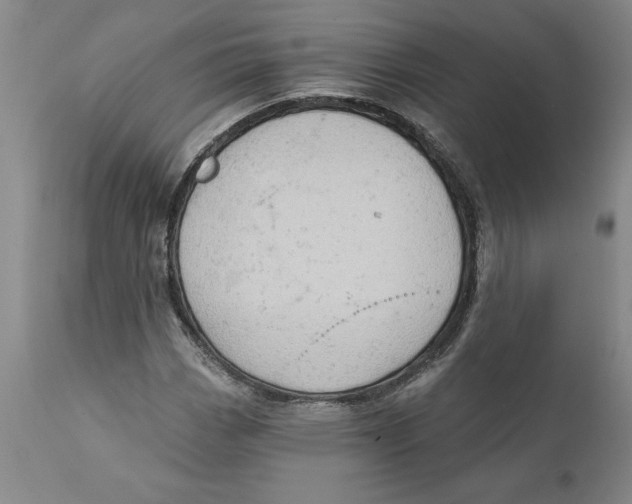 X0000111941113200908241133