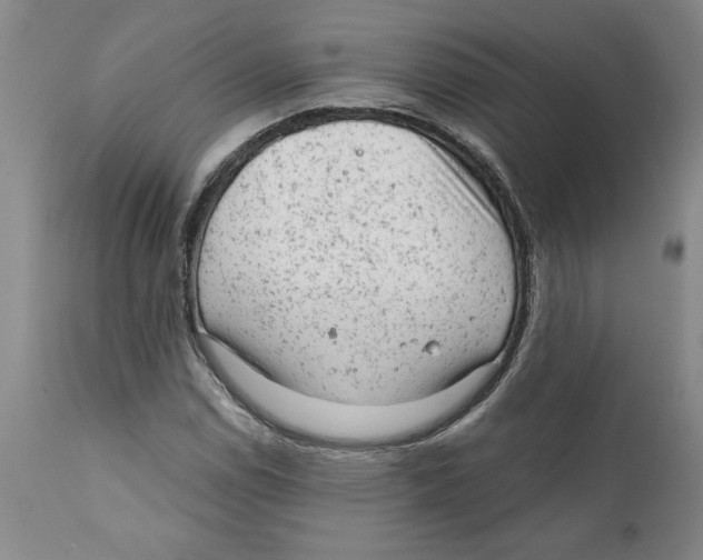 X0000111941114200908241133