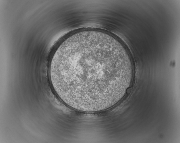 X0000111941115200908241133