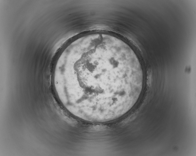 X0000111941117200908241134