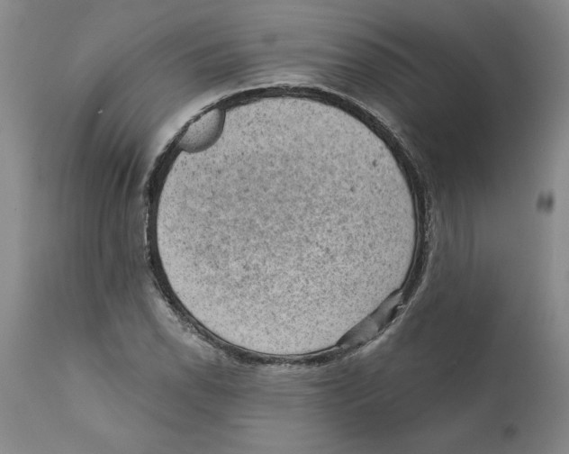 X0000111941118200908241134