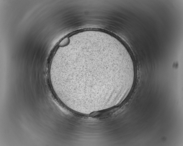 X0000111941119200908241134