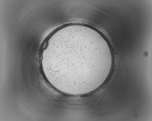 X0000111941120200908241134