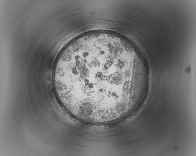 X0000111941121200908241134