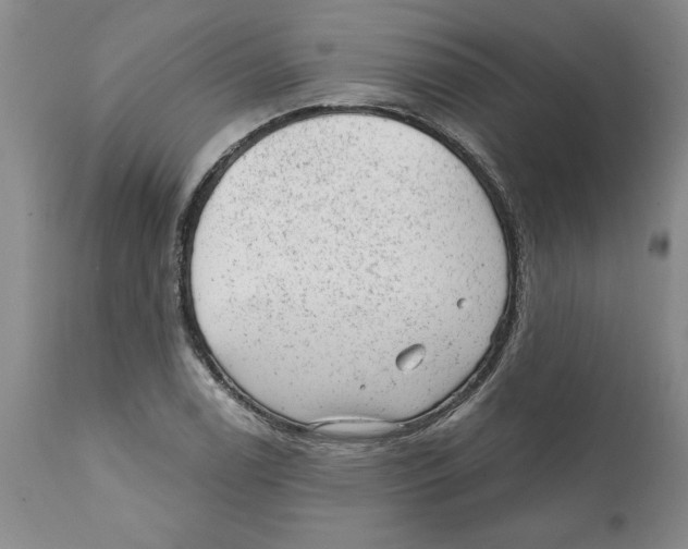 X0000111941122200908241134