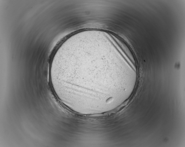 X0000111941123200908241134