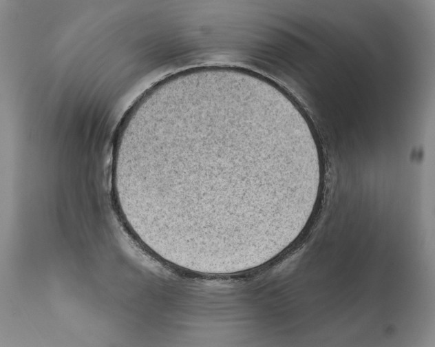 X0000111941126200908241134