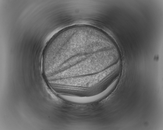 X0000111941127200908241134