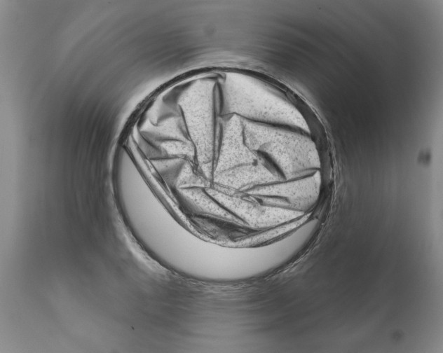 X0000111941128200908241134