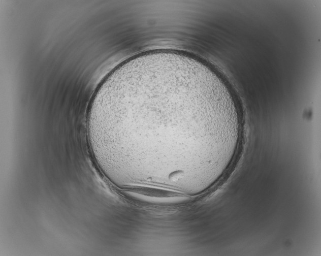 X0000111941129200908241134