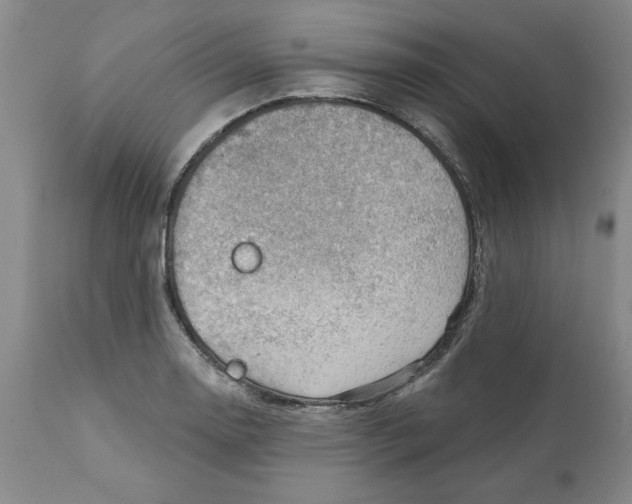 X0000111941130200908241134