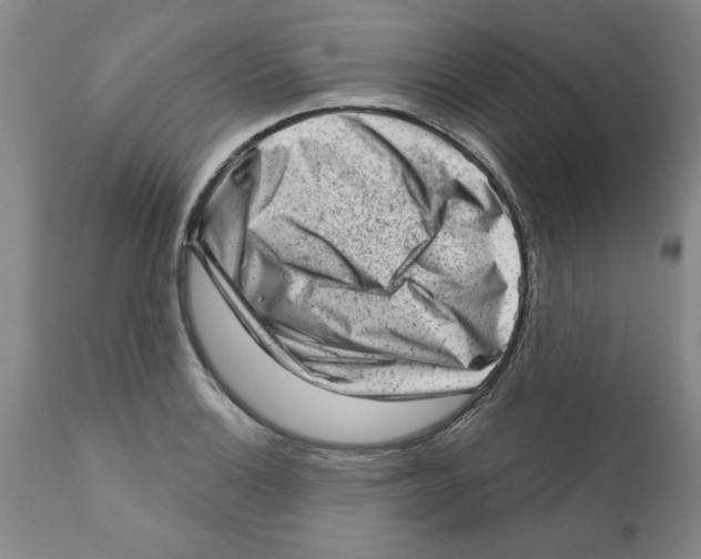 X0000111941132200908241134