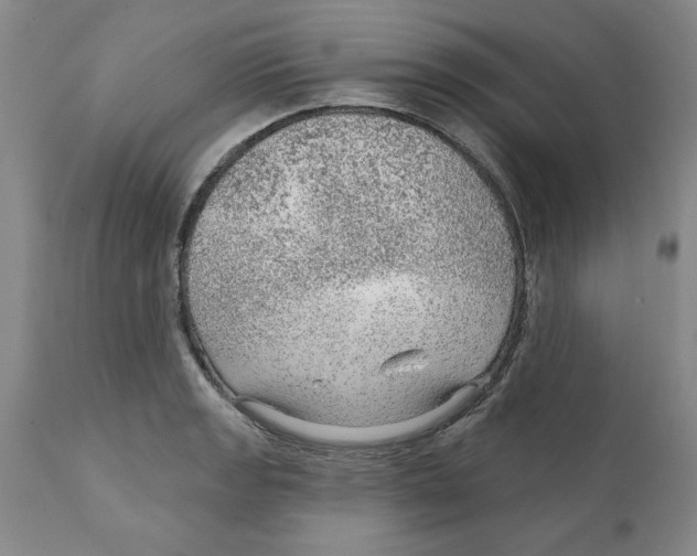 X0000111941133200908241134