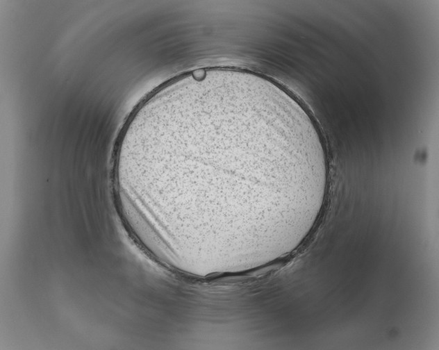 X0000111941135200908241134