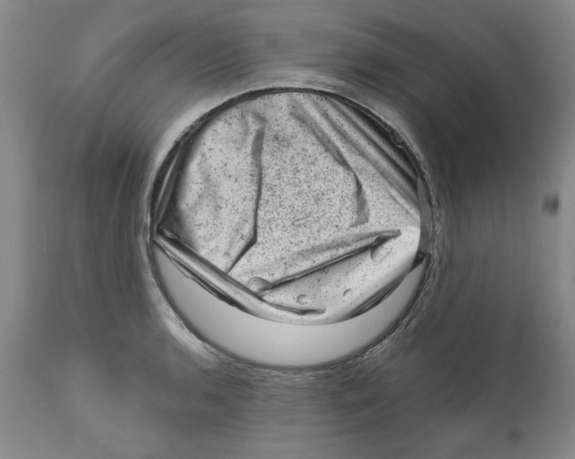 X0000111941136200908241134