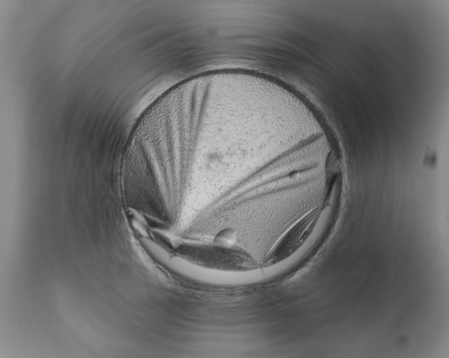 X0000111941137200908241134