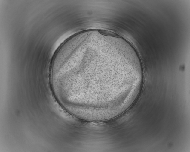 X0000111941138200908241134