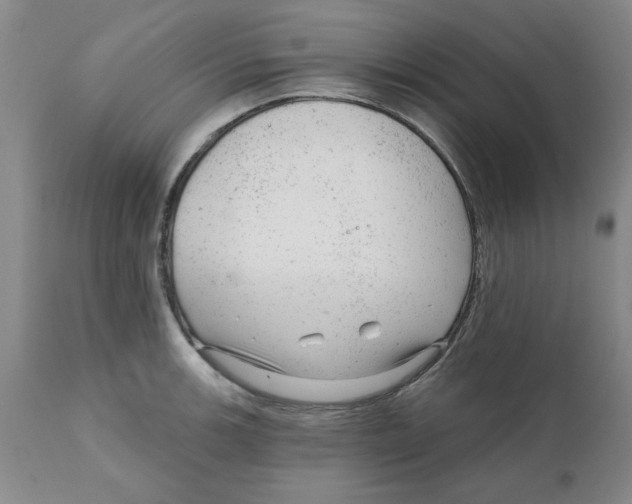 X0000111941139200908241134