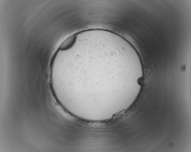 X0000111941140200908241134