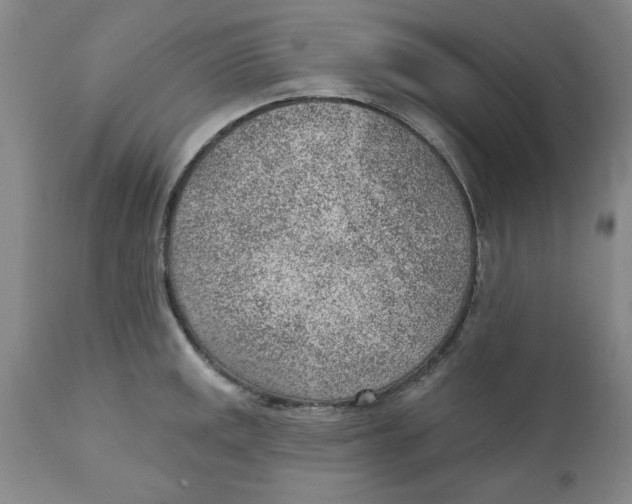 X0000111941141200908241134