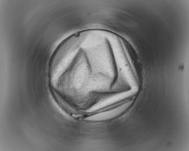 X0000111941142200908241134