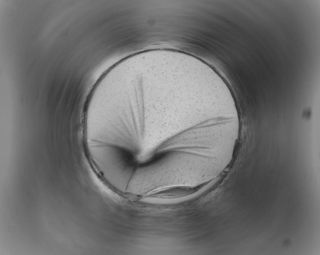 X0000111941143200908241134