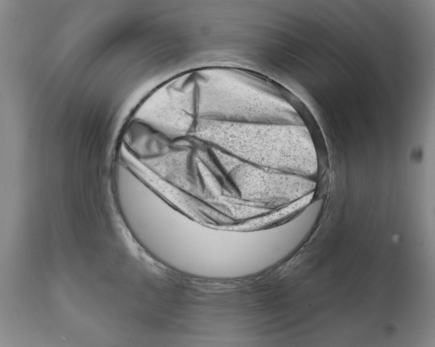 X0000111941144200908241134