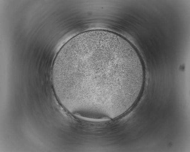 X0000111941145200908241134