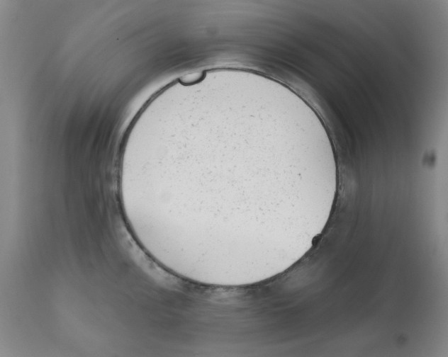 X0000111941148200908241134