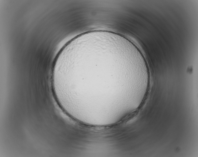 X0000111941149200908241134