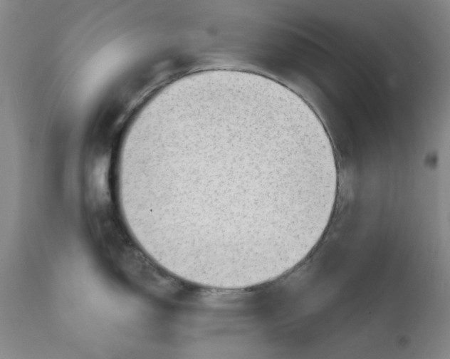 X0000111941150200908241134