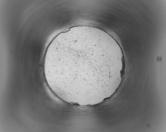 X0000111941152200908241134