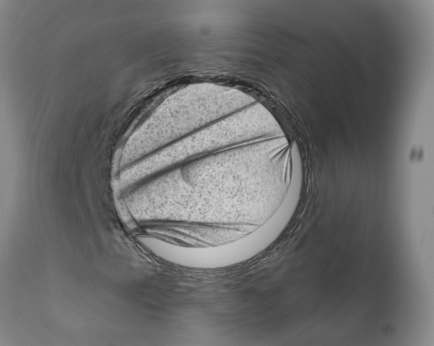 X0000111941153200908241133