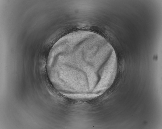 X0000111941154200908241133