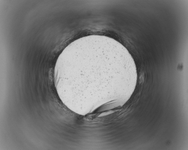 X0000111941156200908241133