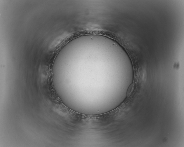 X0000111941157200908241133